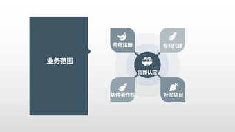 深圳网络技术服务 创新驱动，引领未来