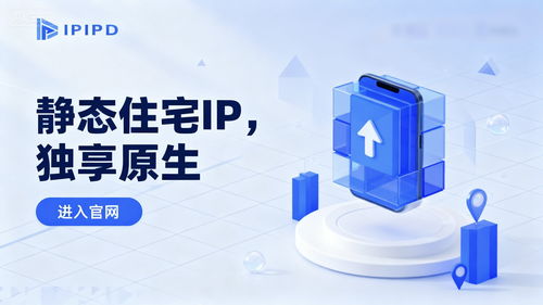 静态住宅IP 跨境电商的隐形引擎——深度测评与实际应用效果分析